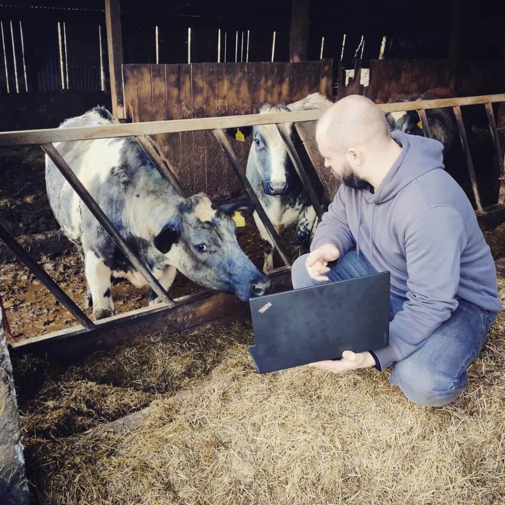 Showing some cows something on a thinkpad laptop