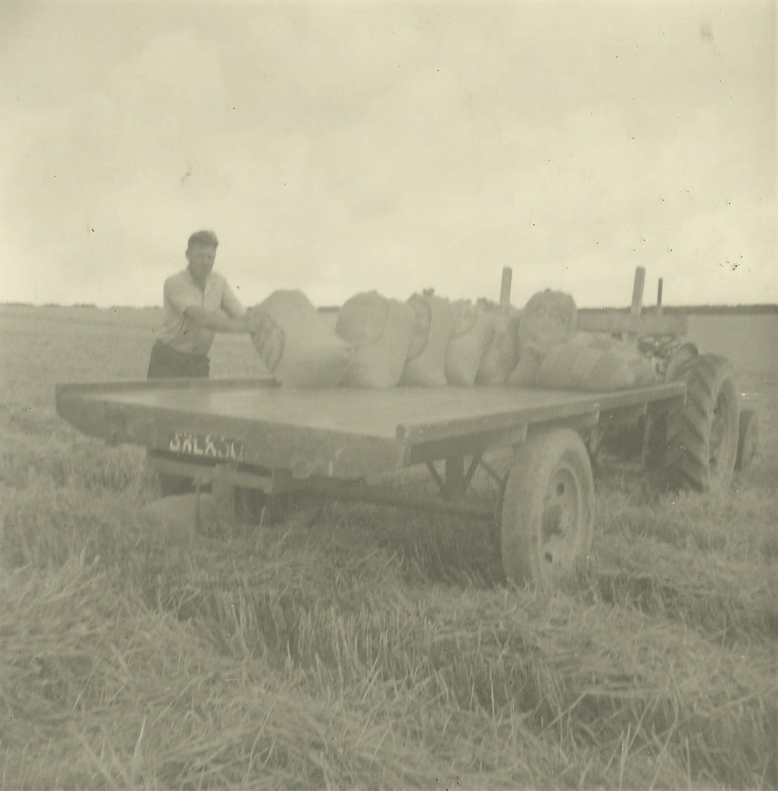 George loading sacks of corn during harvest in 1962